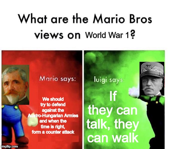 Mario Bros Views | World War 1; We should try to defend against the Austro-Hungarian Armies and when the time is right, form a counter attack; If they can talk, they can walk | image tagged in mario bros views,world war 1,luigi,mario,super mario bros,history | made w/ Imgflip meme maker