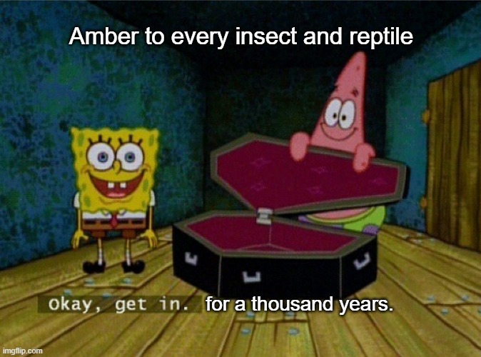 Get my mosquito brother out from the amber. | Amber to every insect and reptile; for a thousand years. | image tagged in spongebob coffin,history,patrick,insects,random,okay get in | made w/ Imgflip meme maker