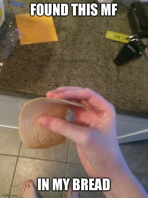  FOUND THIS MF; IN MY BREAD | image tagged in uhhhhhhhhhh | made w/ Imgflip meme maker