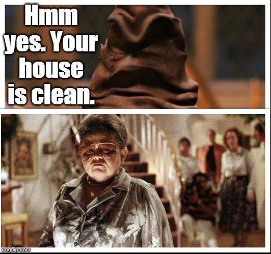 Sorting Hat | Hmm yes. Your house is clean. | image tagged in poltergeist,harry potter,memes | made w/ Imgflip meme maker