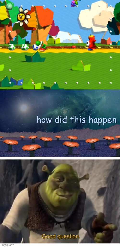 YOSHI ARE YOU OK | image tagged in how did this happen,shrek good question | made w/ Imgflip meme maker