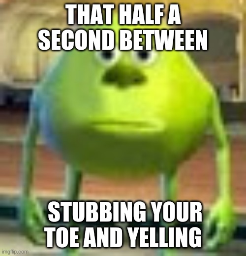 same vibe | THAT HALF A SECOND BETWEEN; STUBBING YOUR TOE AND YELLING | image tagged in sully wazowski | made w/ Imgflip meme maker