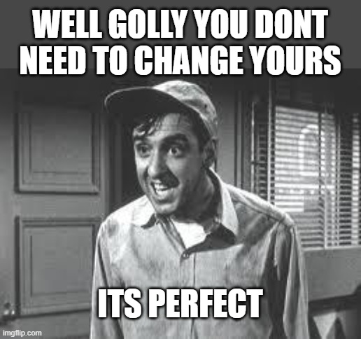 Gomer Pyle | WELL GOLLY YOU DONT NEED TO CHANGE YOURS ITS PERFECT | image tagged in gomer pyle | made w/ Imgflip meme maker