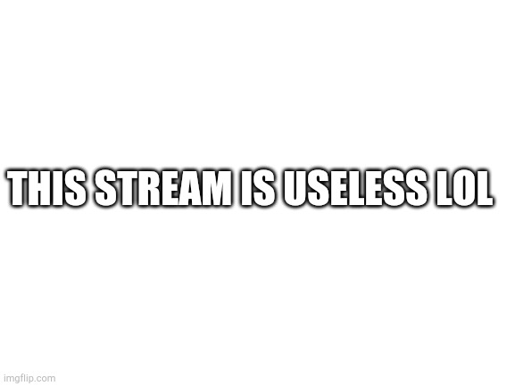 Blank White Template | THIS STREAM IS USELESS LOL | image tagged in bruh | made w/ Imgflip meme maker