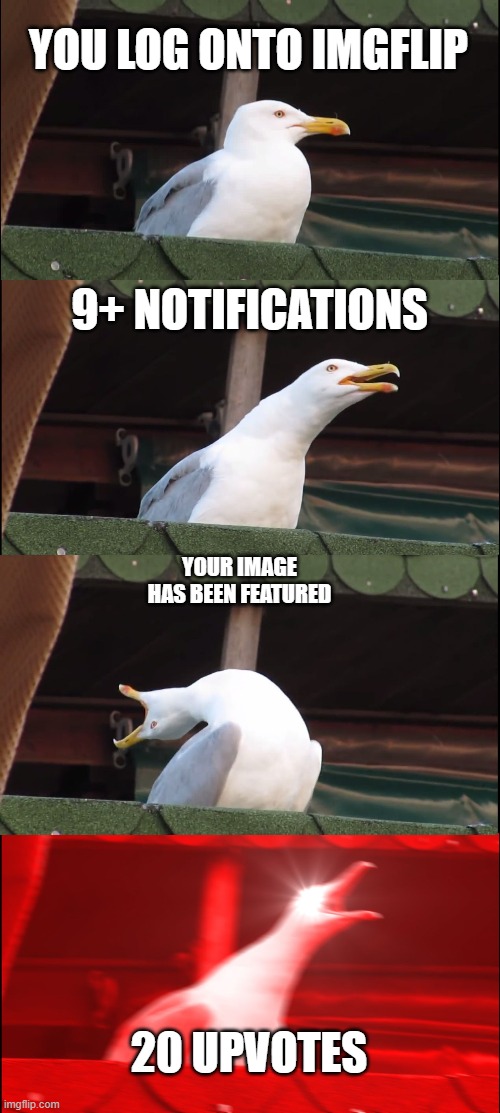 just a meme | YOU LOG ONTO IMGFLIP; 9+ NOTIFICATIONS; YOUR IMAGE HAS BEEN FEATURED; 20 UPVOTES | image tagged in memes,inhaling seagull,imgflip | made w/ Imgflip meme maker