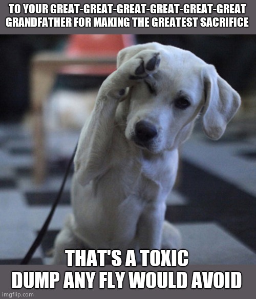 Dog Saluting | TO YOUR GREAT-GREAT-GREAT-GREAT-GREAT-GREAT GRANDFATHER FOR MAKING THE GREATEST SACRIFICE THAT'S A TOXIC DUMP ANY FLY WOULD AVOID | image tagged in dog saluting | made w/ Imgflip meme maker