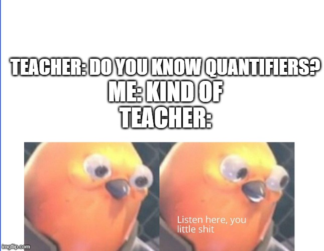 Haha | TEACHER: DO YOU KNOW QUANTIFIERS? ME: KIND OF

TEACHER: | image tagged in listen here you little shit | made w/ Imgflip meme maker