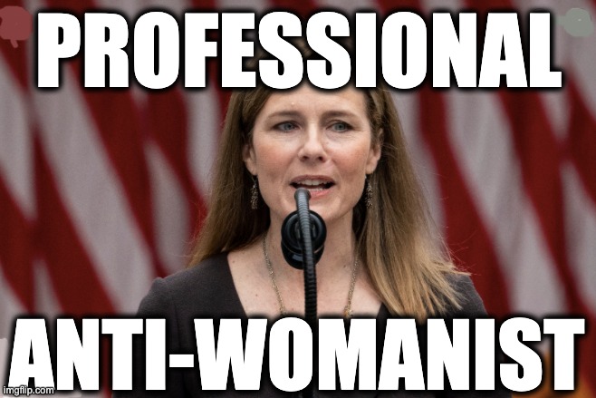PROFESSIONAL; ANTI-WOMANIST | image tagged in memes,anti-women,anti-women's rights,anti-feminist,bigot,catholic fanatic | made w/ Imgflip meme maker