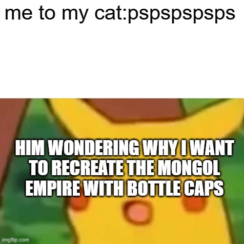 pspspspspspspspspssppspspspspspspspspspspspspspspspsps | me to my cat:pspspspsps; HIM WONDERING WHY I WANT
TO RECREATE THE MONGOL
EMPIRE WITH BOTTLE CAPS | image tagged in memes,surprised pikachu | made w/ Imgflip meme maker