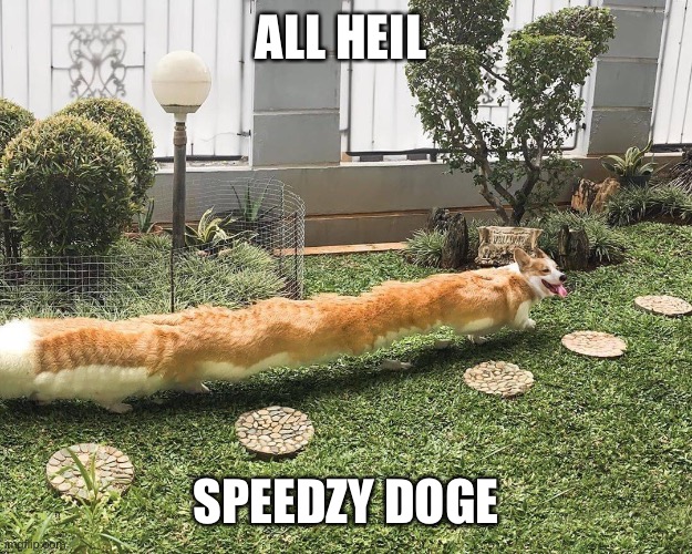 Doge MKIII | ALL HEIL; SPEEDZY DOGE | image tagged in doge,speed | made w/ Imgflip meme maker
