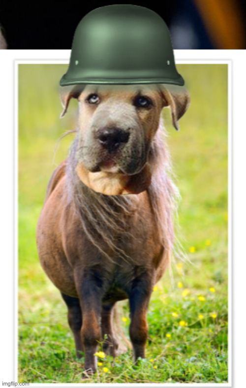 Lying Dog Faced Pony Soldier (2) | image tagged in lying dog faced pony soldier 2 | made w/ Imgflip meme maker