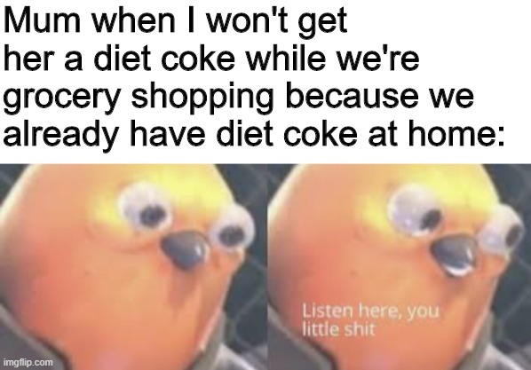 The turntables | Mum when I won't get her a diet coke while we're grocery shopping because we already have diet coke at home: | image tagged in blank white template,listen here you little shit bird,diet coke,coke | made w/ Imgflip meme maker