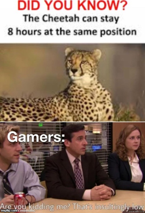 oof thats low | image tagged in gaming,cheetah,why is this here | made w/ Imgflip meme maker