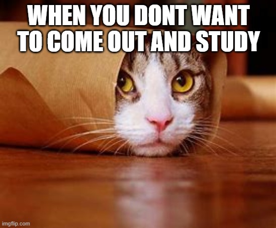 when you dont wanna study | WHEN YOU DONT WANT TO COME OUT AND STUDY | image tagged in memes | made w/ Imgflip meme maker