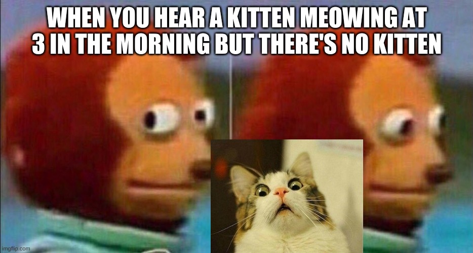 Creepy Shiz (4.0) | WHEN YOU HEAR A KITTEN MEOWING AT 3 IN THE MORNING BUT THERE'S NO KITTEN | image tagged in monkey looking away,memes,scared cat,haunted,creepy,scary | made w/ Imgflip meme maker