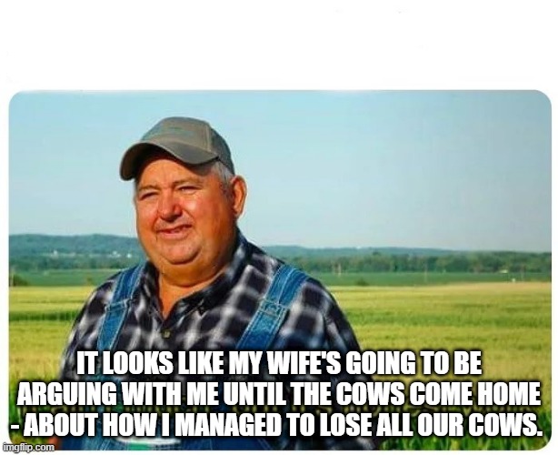 Honest work | IT LOOKS LIKE MY WIFE'S GOING TO BE ARGUING WITH ME UNTIL THE COWS COME HOME - ABOUT HOW I MANAGED TO LOSE ALL OUR COWS. | image tagged in honest work | made w/ Imgflip meme maker