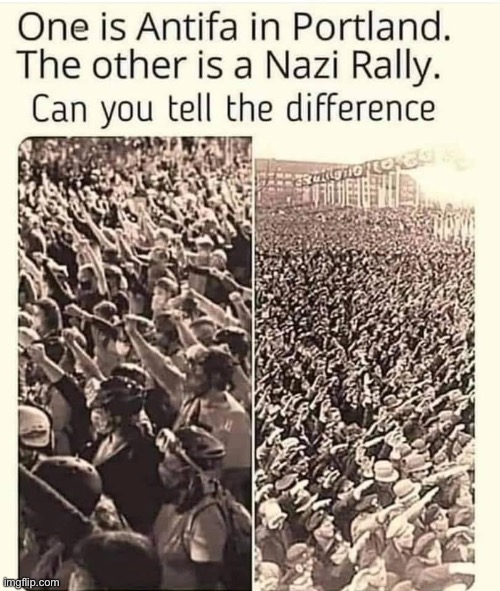 there are absolutely no differences between supporting fascism and opposing fascism maga | image tagged in maga,repost,fascism,antifa,fascists,nazis | made w/ Imgflip meme maker