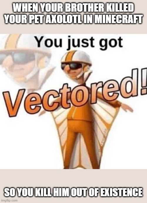 You just got vectored | WHEN YOUR BROTHER KILLED YOUR PET AXOLOTL IN MINECRAFT; SO YOU KILL HIM OUT OF EXISTENCE | image tagged in you just got vectored | made w/ Imgflip meme maker