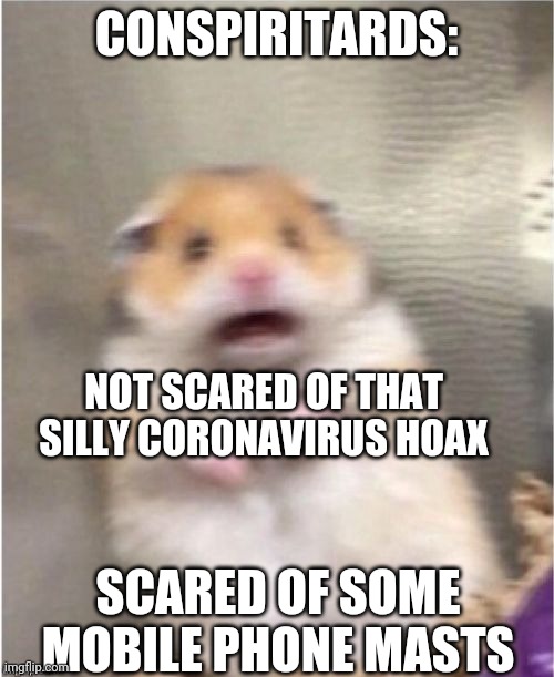 Bravery in stupidity | CONSPIRITARDS:; NOT SCARED OF THAT SILLY CORONAVIRUS HOAX; SCARED OF SOME MOBILE PHONE MASTS | image tagged in scared hamster | made w/ Imgflip meme maker