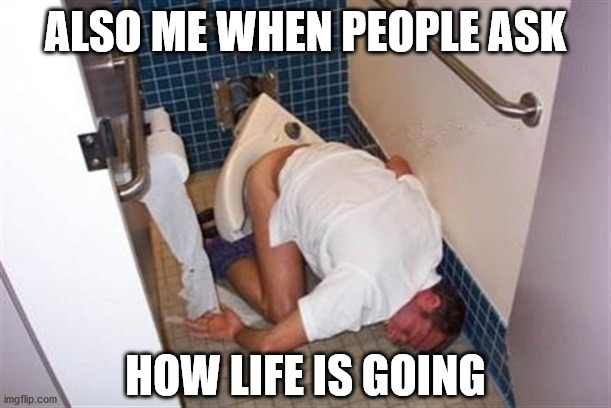 That 2020 Life | ALSO ME WHEN PEOPLE ASK; HOW LIFE IS GOING | image tagged in drunk guy,passed out,funny memes,2020,2020 sucks,trump | made w/ Imgflip meme maker