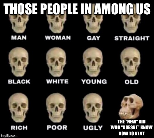 idiot skull | THOSE PEOPLE IN AMONG US; THE “NEW” KID
WHO “DOESNT” KNOW
HOW TO VENT | image tagged in idiot skull | made w/ Imgflip meme maker