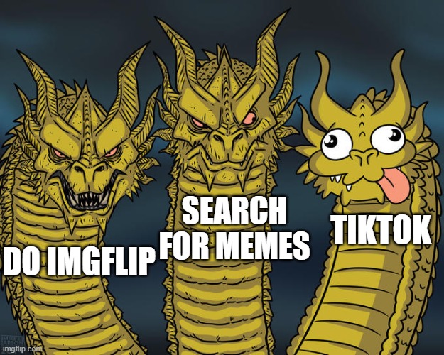 :P | SEARCH FOR MEMES; TIKTOK; DO IMGFLIP | image tagged in three-headed dragon | made w/ Imgflip meme maker