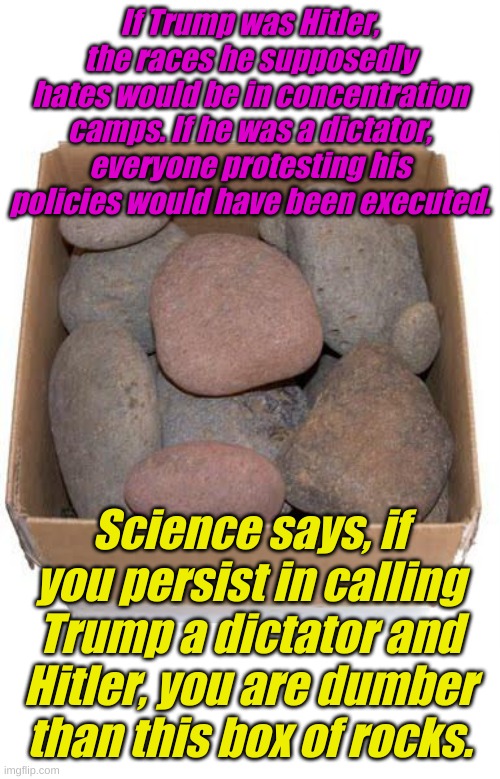 Everyone knows how important SCIENCE is, we must follow SCIENCE! | If Trump was Hitler, the races he supposedly hates would be in concentration camps. If he was a dictator, everyone protesting his policies would have been executed. Science says, if you persist in calling Trump a dictator and Hitler, you are dumber than this box of rocks. | image tagged in box of rocks | made w/ Imgflip meme maker