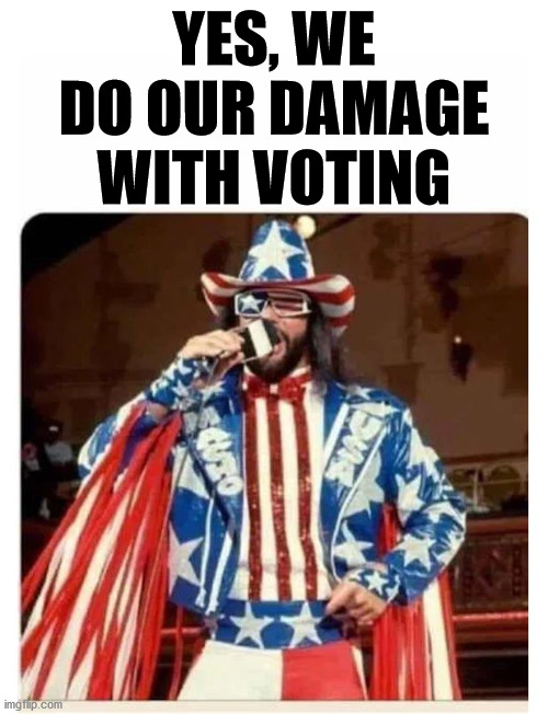 Savage america | YES, WE DO OUR DAMAGE WITH VOTING | image tagged in savage america | made w/ Imgflip meme maker