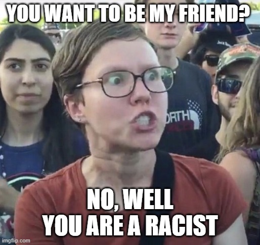 Triggered feminist | YOU WANT TO BE MY FRIEND? NO, WELL YOU ARE A RACIST | image tagged in triggered feminist | made w/ Imgflip meme maker
