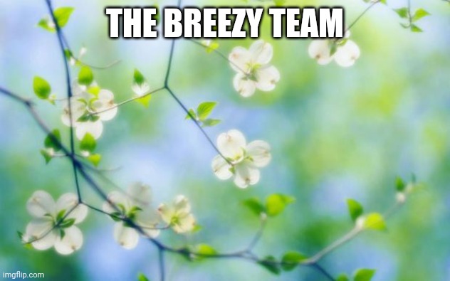 flowers | THE BREEZY TEAM | image tagged in flowers | made w/ Imgflip meme maker