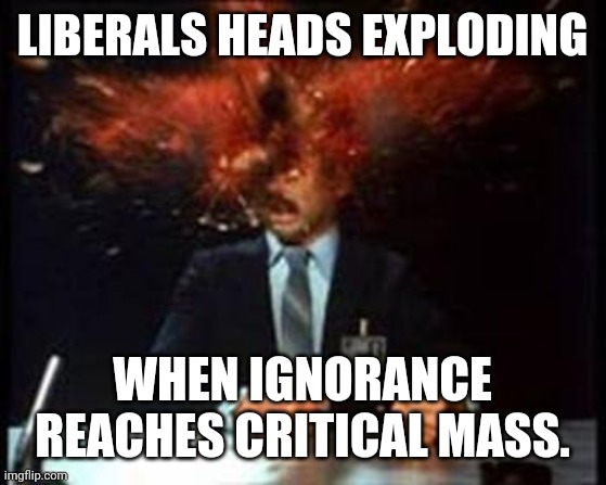 Truth is still there in spite of mainstream media and Democrat lies. Vote to liberate truth. Trump 2020 | LIBERALS HEADS EXPLODING; WHEN IGNORANCE REACHES CRITICAL MASS. | image tagged in head explode | made w/ Imgflip meme maker