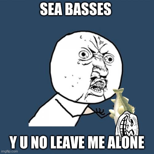 Y U No | SEA BASSES; Y U NO LEAVE ME ALONE | image tagged in memes,y u no,animal crossing,sea bass | made w/ Imgflip meme maker