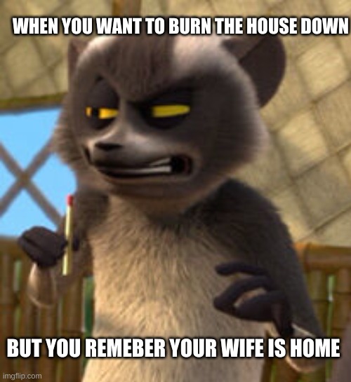 HECTOR NO! | WHEN YOU WANT TO BURN THE HOUSE DOWN; BUT YOU REMEBER YOUR WIFE IS HOME | image tagged in funny | made w/ Imgflip meme maker