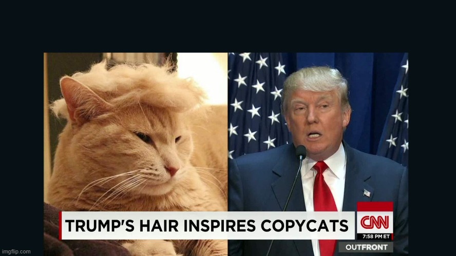 Copy cats | image tagged in donald trump | made w/ Imgflip meme maker