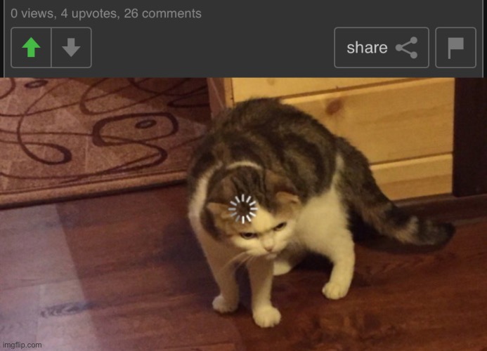 What | image tagged in cat buffering,imgflip,visible confusion,cats,memes,funny | made w/ Imgflip meme maker