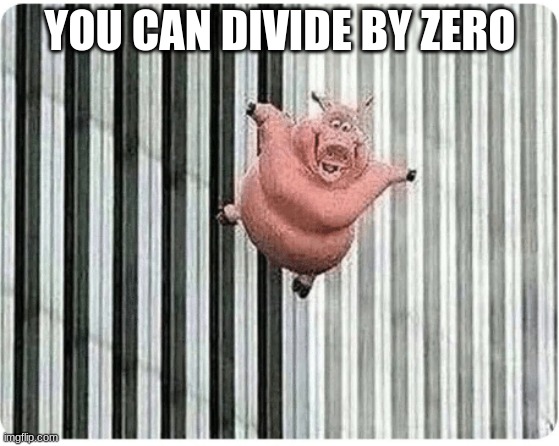 math no fun must do for school | YOU CAN DIVIDE BY ZERO | image tagged in pig jumping off | made w/ Imgflip meme maker