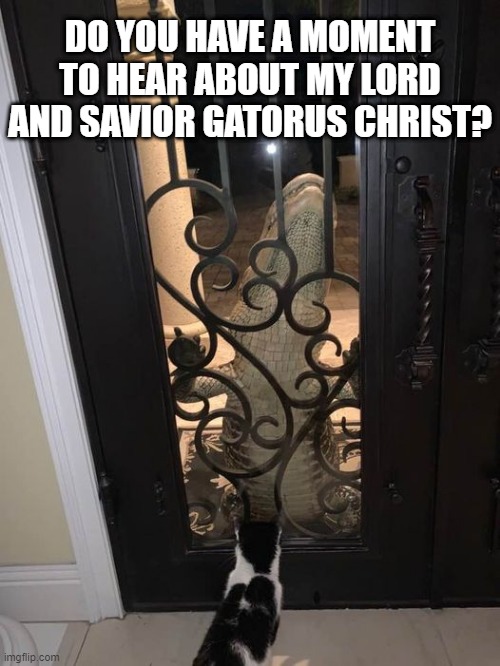 Holy Gator! | DO YOU HAVE A MOMENT TO HEAR ABOUT MY LORD AND SAVIOR GATORUS CHRIST? | image tagged in alligator | made w/ Imgflip meme maker