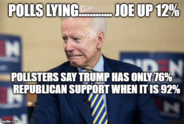 Do you believe the polls....Or your lyin' eyes? | POLLS LYING............ JOE UP 12%; POLLSTERS SAY TRUMP HAS ONLY 76%      REPUBLICAN SUPPORT WHEN IT IS 92% | image tagged in yukky biden,biden,president trump,polls | made w/ Imgflip meme maker