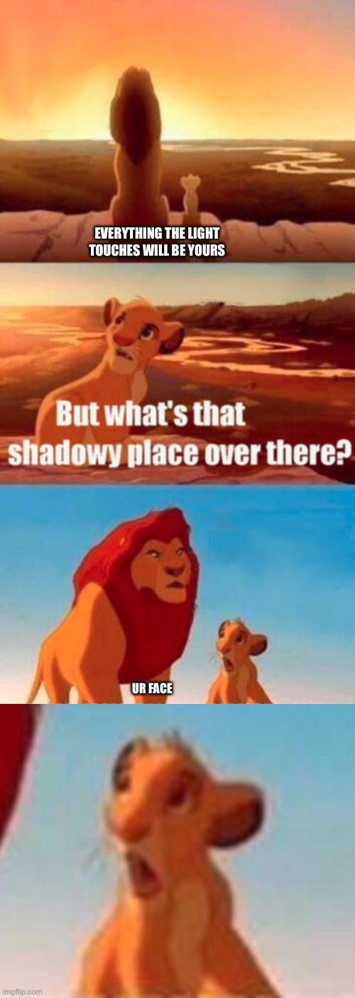 EVERYTHING THE LIGHT TOUCHES WILL BE YOURS; UR FACE | image tagged in memes,simba shadowy place | made w/ Imgflip meme maker