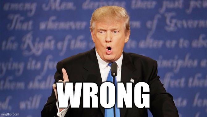Donald Trump Wrong | WRONG | image tagged in donald trump wrong | made w/ Imgflip meme maker