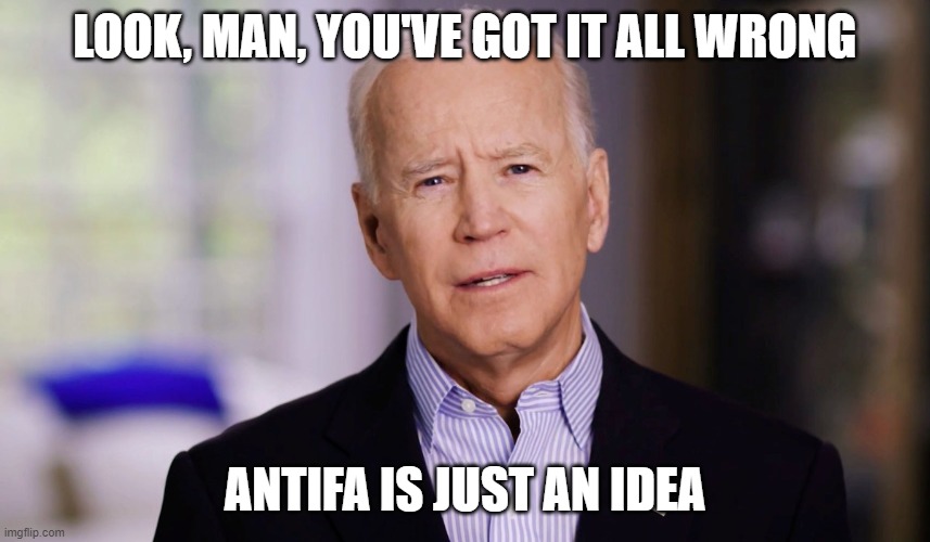 Joe Biden 2020 | LOOK, MAN, YOU'VE GOT IT ALL WRONG ANTIFA IS JUST AN IDEA | image tagged in joe biden 2020 | made w/ Imgflip meme maker