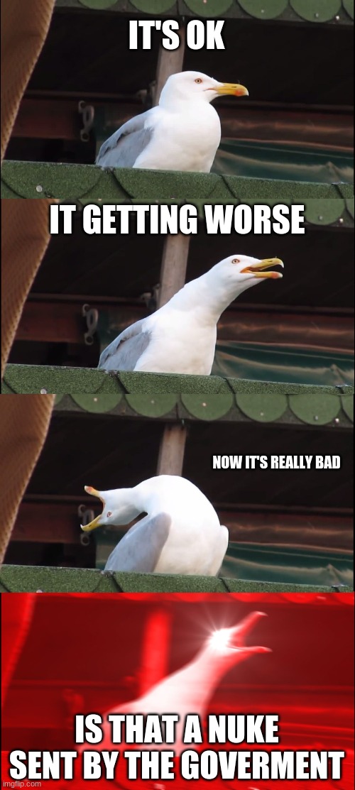 when a zombie apocalypse happens | IT'S OK; IT GETTING WORSE; NOW IT'S REALLY BAD; IS THAT A NUKE SENT BY THE GOVERMENT | image tagged in memes,inhaling seagull | made w/ Imgflip meme maker