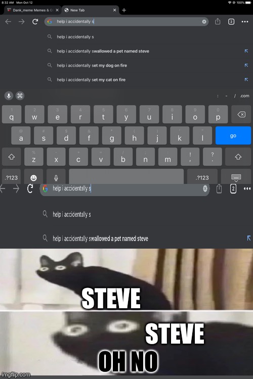 STEVE; STEVE; OH NO | made w/ Imgflip meme maker