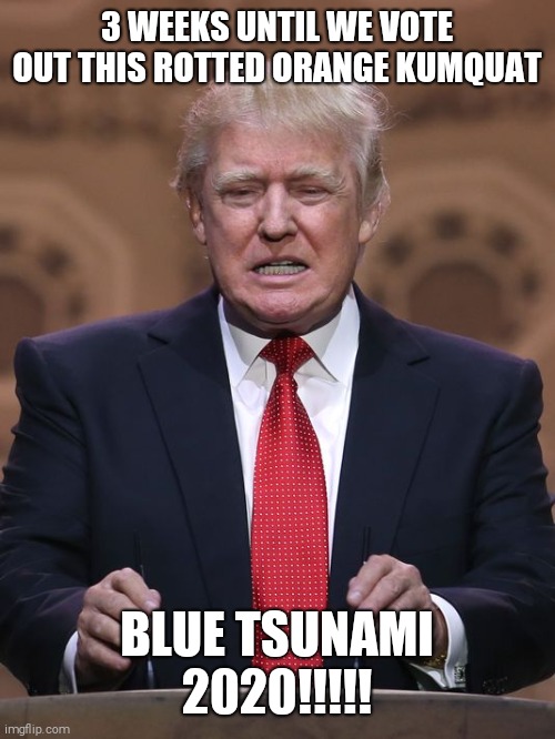 Jackwagon | 3 WEEKS UNTIL WE VOTE OUT THIS ROTTED ORANGE KUMQUAT; BLUE TSUNAMI 2020!!!!! | image tagged in donald trump | made w/ Imgflip meme maker