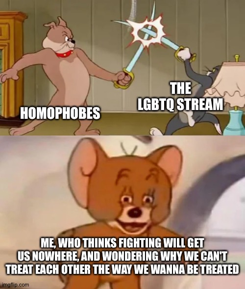 .... | THE LGBTQ STREAM; HOMOPHOBES; ME, WHO THINKS FIGHTING WILL GET US NOWHERE, AND WONDERING WHY WE CAN'T TREAT EACH OTHER THE WAY WE WANNA BE TREATED | image tagged in tom and spike fighting | made w/ Imgflip meme maker