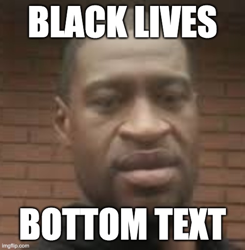 BLACK LIVES BOTTOM TEXT | BLACK LIVES; BOTTOM TEXT | image tagged in bottom text,blm,black lives matter,george floyd,racist meme,racism | made w/ Imgflip meme maker