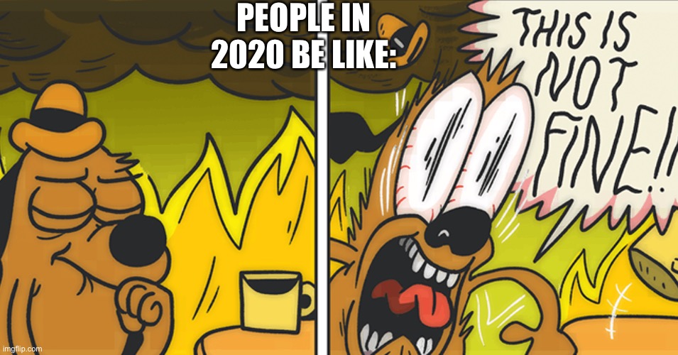 Everyone in 2020 | PEOPLE IN 2020 BE LIKE: | image tagged in this is not fine | made w/ Imgflip meme maker