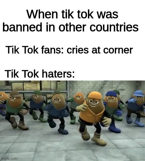 Killer Bean | When tik tok was banned in other countries; Tik Tok fans: cries at corner; Tik Tok haters: | image tagged in killer bean | made w/ Imgflip meme maker