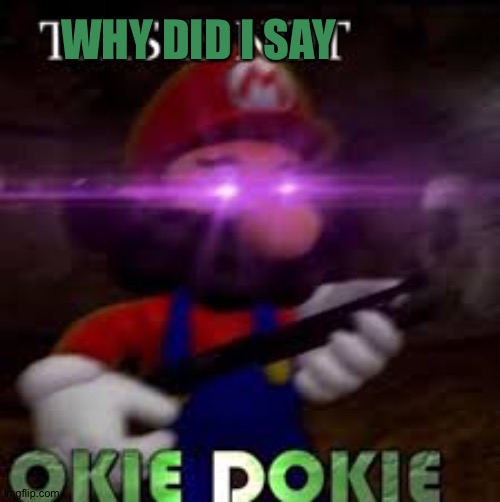 Why did I say okie dokie | WHY DID I SAY | image tagged in this is not okie dokie | made w/ Imgflip meme maker