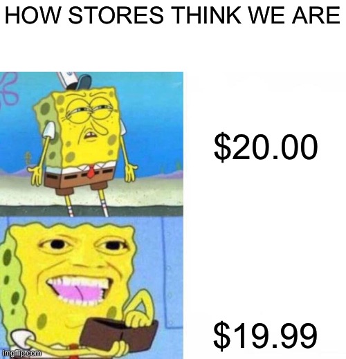 IT IS ONE FRICKING CENT | HOW STORES THINK WE ARE; $20.00; $19.99 | image tagged in spongebob wallet | made w/ Imgflip meme maker